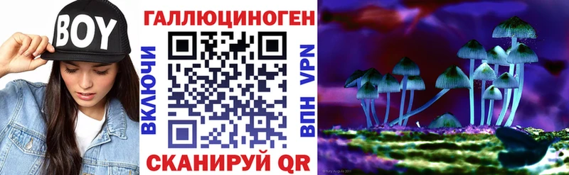 Псилоцибиновые грибы ЛСД Лахденпохья